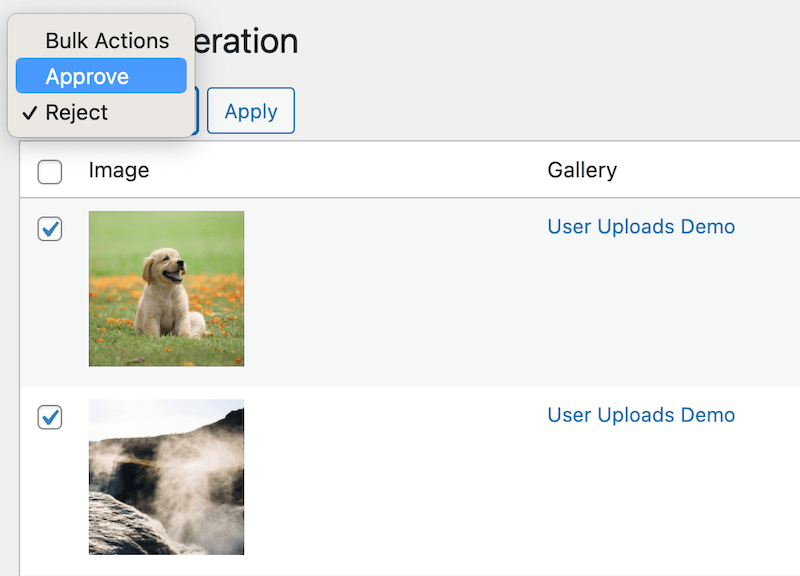 Bulk moderation for User Uploads