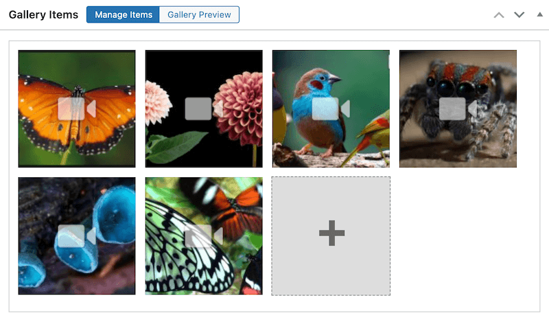 WordPress Video Gallery