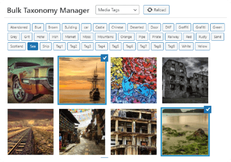 FooGallery PRO Expert gallery workflow preview