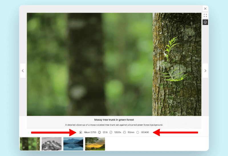 FooGallery EXIF metadata preview