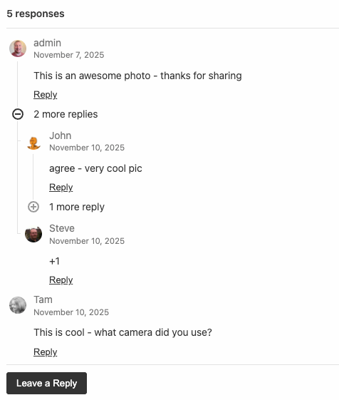 Add comments to images with FooGallery Social