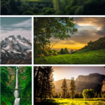 Modula default gallery benchmark screenshot